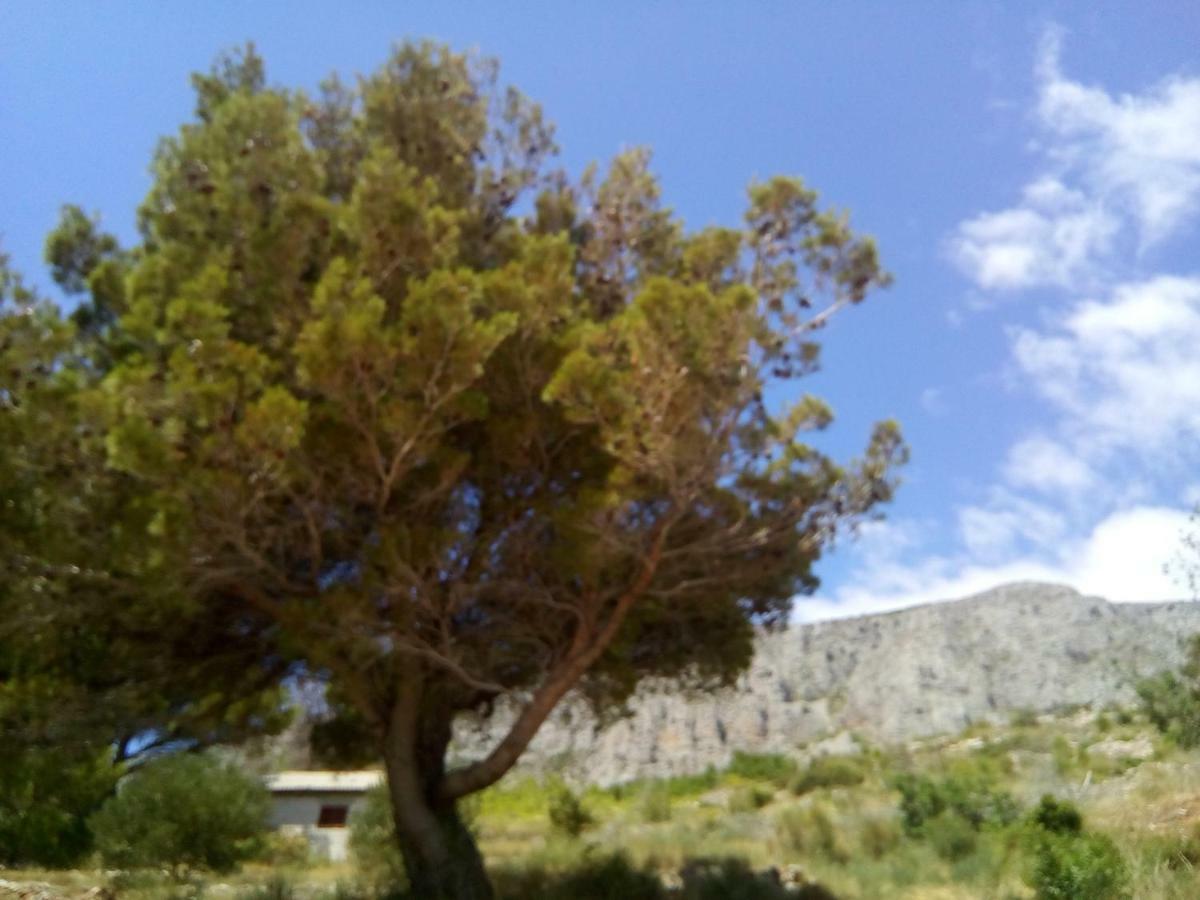 Seaview Apartments Nikola Lokva Rogoznica Εξωτερικό φωτογραφία